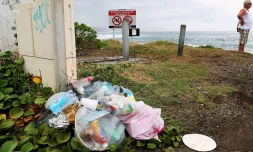 déchets 