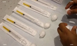 vaccination 