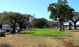 Saint-Denis : création d'un nouveau parc sur l'îlot flamboyants