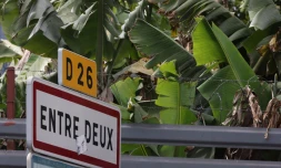 Entre- Deux