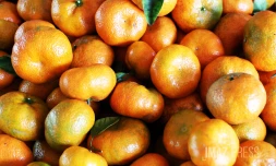 mandarine péi 