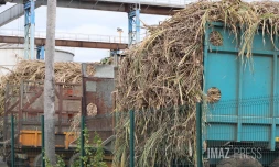 Grève à l'usine Bois-Rouge : les planteurs en colère veulent mettre la pression sur Tereos [?]