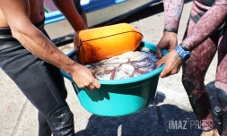 pêcheurs anse des cascades 