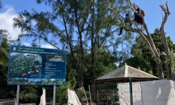 Casabona : des militants perchés dans les arbres, la police tente de les déloger 