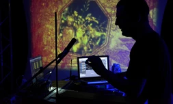 Brain Damage fête ses 20 ans au Bisik