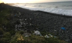 La plage de Sainte-Anne 