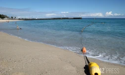  filets plage des Roches Noires 
