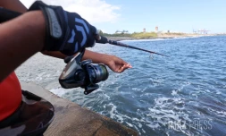 pecheurs Ă la golette