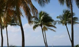 Guadeloupe