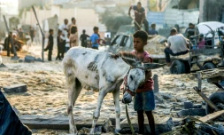 Dans les ruines de Khan Younès, dans le sud de la bande de Gaza, le 28 juillet 2025