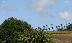météo Réunion 