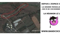 Déchets Band Cochons 