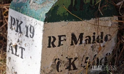 route forestière des tamarins RF9