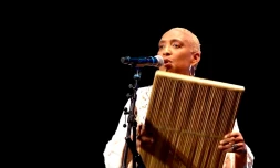 festival kreol des seychelles