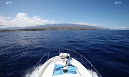 La Réunion