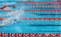 natation 