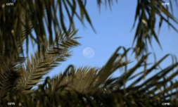 Lune