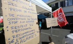 BioRéunion