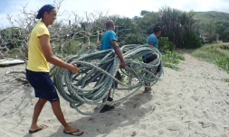 Kelonia : près de 100 mètres de cordage sortis de l'eau 