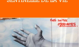 Sentinelle de la vie