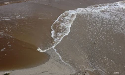 Tempête Haliba