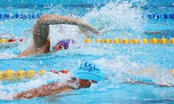championnat de la réunion natation 