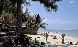 Paillotte TA 11 octobre