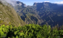 météo réunion 