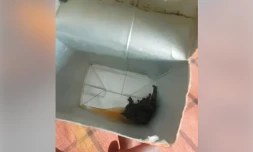 brique, jus de fruits, moisissure, Cilam, Diego