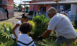 Les élèves de l’école Leconte-de-Lisle se mettent au vert 