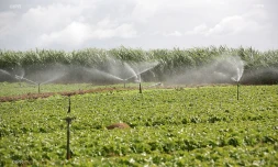 Irrigation champ agricole 