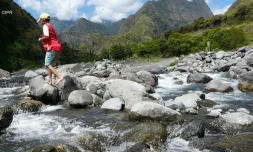 illustrations photos