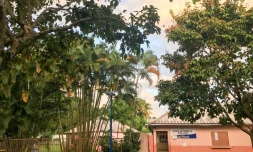 école hibiscus saint benoit