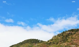 météo réunion 