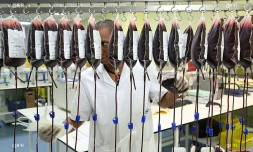 Etablissement français du sang