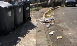 Band cochon : 82 dépôts sauvages photographiés cette semaine