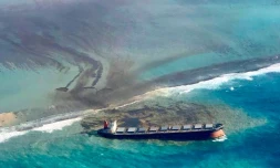 Pollution à Maurice