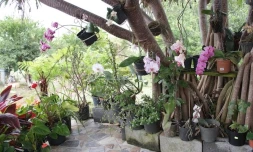 Cours et balcons fleuris 