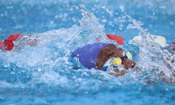 Natation