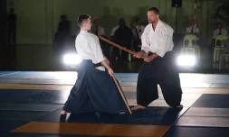 Saint-Pierre : retour en images sur le festival des arts martiaux