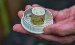 Pour combattre les moustiques, une entreprise américaine en relâche 600.000 dans les jardins