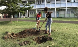 Les étudiants en communication ont la main verte