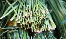 légumes 