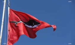 drapeaux requins