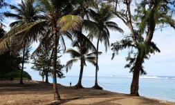 plage de l'hermitage 