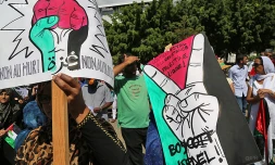 Manifestion palestine