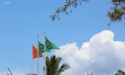 drapeaux requins ,drapeaux plages