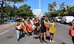 Saint-Pierre célèbre le carnaval