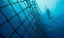 filet anti-requin de Boucan