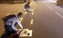 Extinction Rebellion : de nouvelles pistes cyclables tracées à Saint-Pierre et au Tampon
